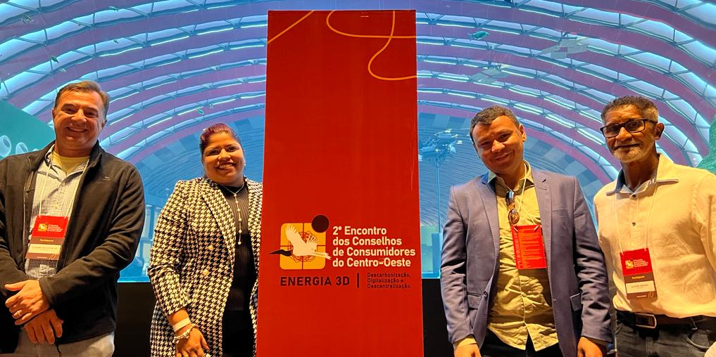 Tocantinenses participam de discussão sobre melhorias do sistema elétrico com representantes de 20 estados